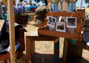 El Hipódromo de la Zarzuela acoge la primera edición del Festival de Campo