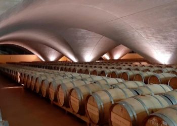 Bodega Otazu muestra una selección de sus mejores vinos en FENAVIN 2023