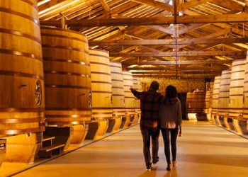 Dos rutas guiadas y un pasaporte anual refuerzan la selecta propuesta enoturística del Barrio de la Estación