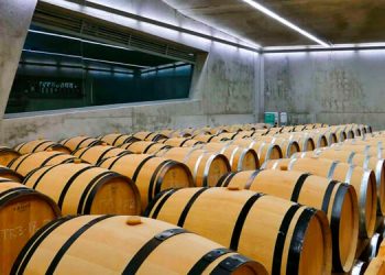 Vuelve el vino de tinaja: la tendencia de los sabores puros