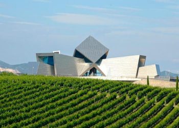 Bodega Sommos elabora la mejor garnacha blanca del mundo según el concurso mundial de Bruselas