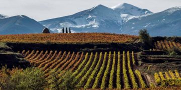 El BOE publica la orden de Agricultura que aprueba la modificación de la DOC Rioja para blindar sus viñedos