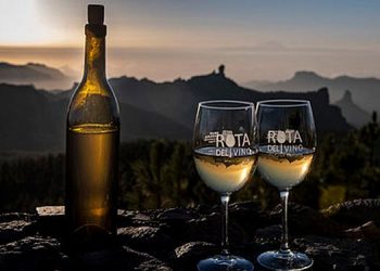 El Consejo Regulador de la D.O. Vinos de Gran Canaria elige la nueva Junta Directiva