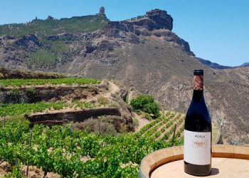 El Plan Vitícola de Gran Canaria 2023-2024 tiene como objetivo sentar las bases de la viticultura en la isla