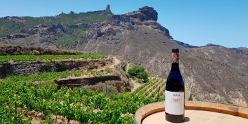 El Plan Vitícola de Gran Canaria 2023-2024 tiene como objetivo sentar las bases de la viticultura en la isla