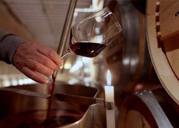 Rioja, la tierra de los mil vinos se estrena en cines este viernes 10 de noviembre