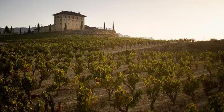 verano Rioja Hacienda López de Haro