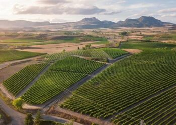 Rioja guía completa DO España