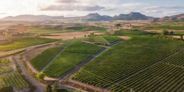 Rioja guía completa DO España
