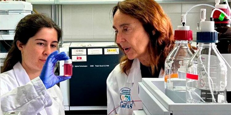 kombucha desechos del vino