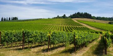 septiembre enoturismo vino