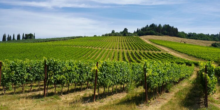 septiembre enoturismo vino