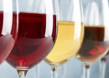 lenguaje visual del vino color e intensidad