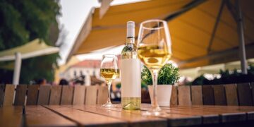 Vino verano guía