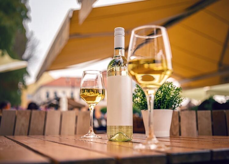 Vino verano guía
